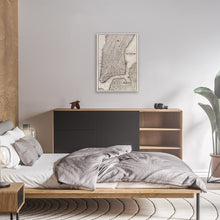 Load image into Gallery viewer, 1850 New York Map