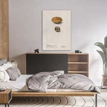 Load image into Gallery viewer, Pecans Illustration