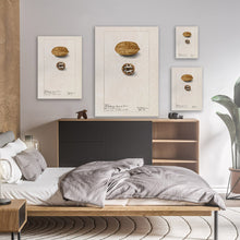 Load image into Gallery viewer, Pecans Illustration