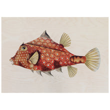 Load image into Gallery viewer, Vintage Fish Illustration
