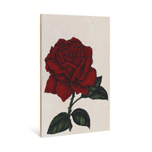 Load image into Gallery viewer, A Blooming Rose