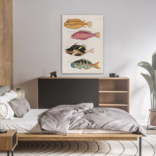 Load image into Gallery viewer, Colourful Fish Illustration
