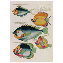 Load image into Gallery viewer, Fish 2