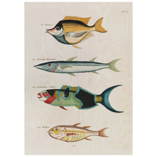 Load image into Gallery viewer, Fish 5