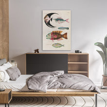 Load image into Gallery viewer, Vintage Fish Illustrations