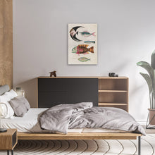 Load image into Gallery viewer, Vintage Fish Illustrations