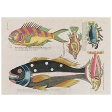 Load image into Gallery viewer, Vintage Surreal Fish Illustration