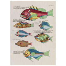 Load image into Gallery viewer, Fish 9