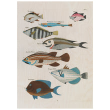 Load image into Gallery viewer, Fish 10