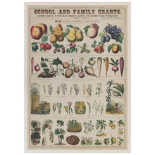 Load image into Gallery viewer, Vintage Chart of Plants