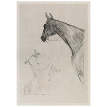 Load image into Gallery viewer, Horse And Collie