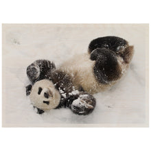 Load image into Gallery viewer, Giant Panda