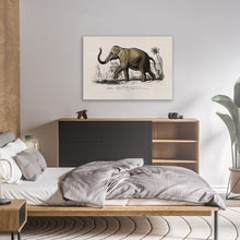 Load image into Gallery viewer, Asian Elephant Illustration