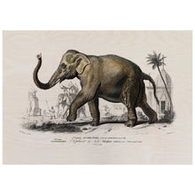 Load image into Gallery viewer, Asian Elephant Illustration