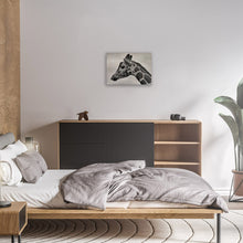 Load image into Gallery viewer, Giraffes Head