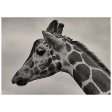 Load image into Gallery viewer, Giraffes Head