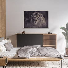 Load image into Gallery viewer, Majestic Lion in the wild