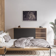 Load image into Gallery viewer, Majestic Lion in the wild