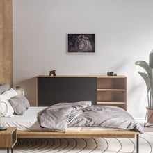 Load image into Gallery viewer, Majestic Lion in the wild