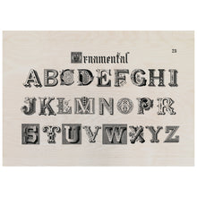 Load image into Gallery viewer, Ornamental Fonts From Draughtsman'S Alphabets