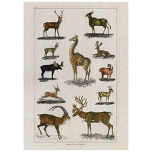 Load image into Gallery viewer, Vintage Animals With Antlers