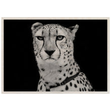 Load image into Gallery viewer, Cheetah