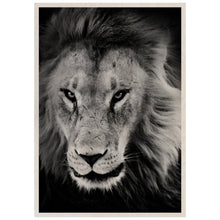 Load image into Gallery viewer, Lion In The Grass