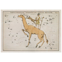 Load image into Gallery viewer, Vintage Constellation
