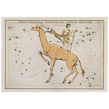 Load image into Gallery viewer, Vintage Constellation
