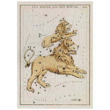 Load image into Gallery viewer, Leo