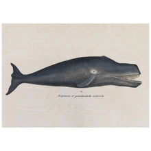 Load image into Gallery viewer, Bowhead Whale