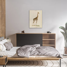 Load image into Gallery viewer, La Giraffe