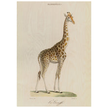 Load image into Gallery viewer, La Giraffe