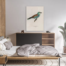 Load image into Gallery viewer, Vintage Bird Illustration