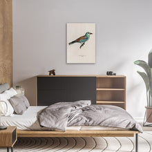 Load image into Gallery viewer, Vintage Bird Illustration