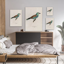 Load image into Gallery viewer, Vintage Bird Illustration