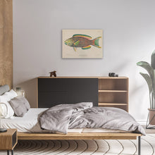 Load image into Gallery viewer, Vintage Parrot Fish Illustration