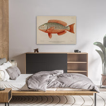 Load image into Gallery viewer, Exotic Fish