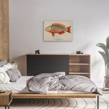 Load image into Gallery viewer, Exotic Fish