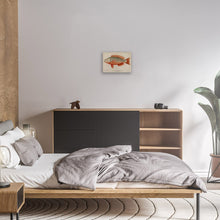 Load image into Gallery viewer, Exotic Fish