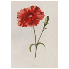 Load image into Gallery viewer, Red Vintage Flower