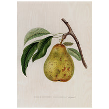 Load image into Gallery viewer, Illustration Of A Pear