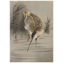 Load image into Gallery viewer, Snip In The Water