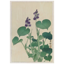 Load image into Gallery viewer, Blooming Hosta