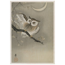 Load image into Gallery viewer, Long-Eared Owl In Ginkgo
