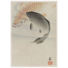 Load image into Gallery viewer, Two Carp
