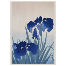Load image into Gallery viewer, Iris Flowers