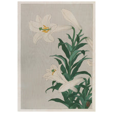 Load image into Gallery viewer, Lilies By Ohara