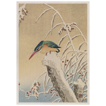 Load image into Gallery viewer, A Kingfisher In The Snow