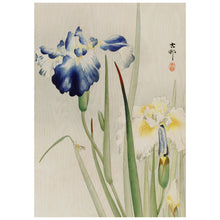 Load image into Gallery viewer, Irises